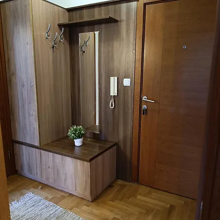 Savic Solaris Vrnjci